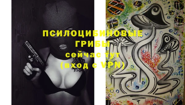 Альфа ПВП Бородино