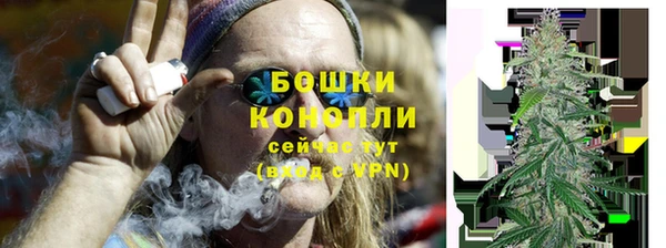 Альфа ПВП Бородино