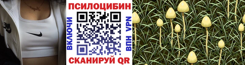 Галлюциногенные грибы GOLDEN TEACHER  Купить  Белово 